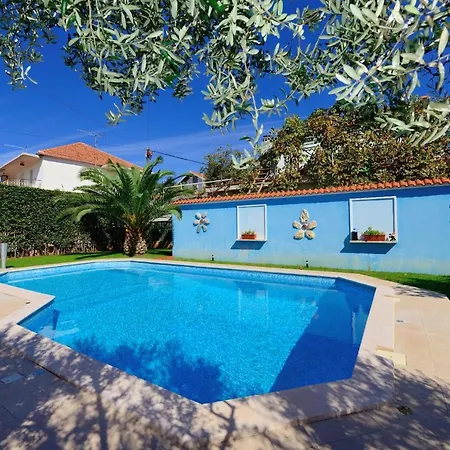 Family-friendly With Swimming Pool - 16336 Apartment Zadar