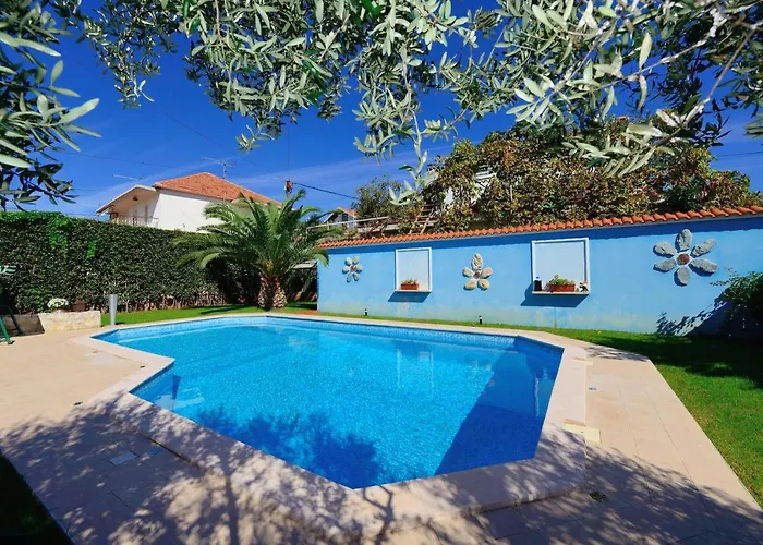 Family-friendly With Swimming Pool - 16336 Apartamento Zadar